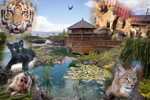 Wild park