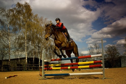 Jazdecký Areál Poprad-Kvetnica