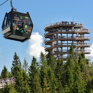 The treetop walk Bachledka