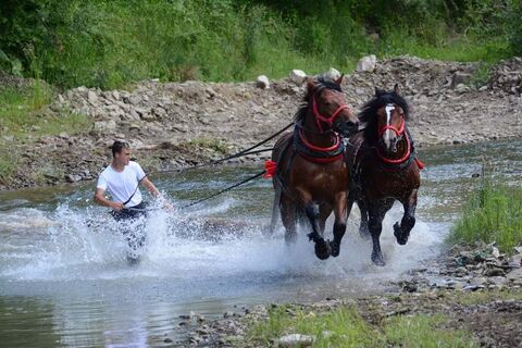 Furmánske preteky - StaroLesnianska podkova
