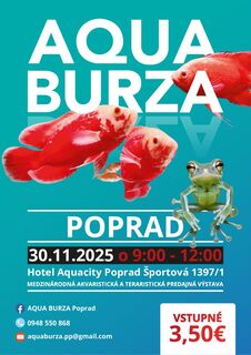 AQUA BURZA