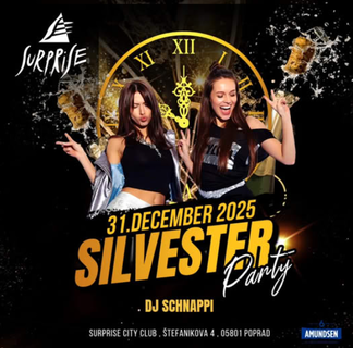 🎇 S I L V E S T E R 2025 🎇