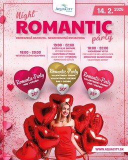 ROMANTIC PARTY