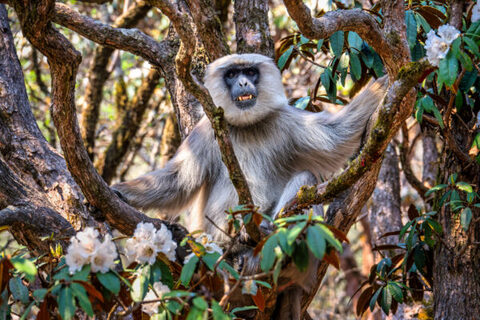 Expedičná kamera 2026