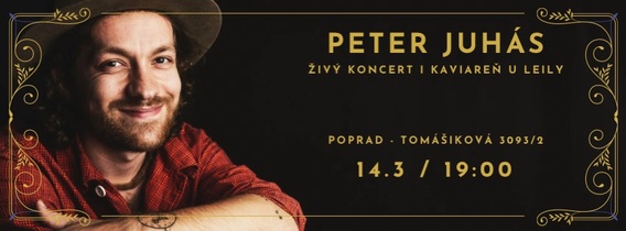 Koncert Peter Juhás